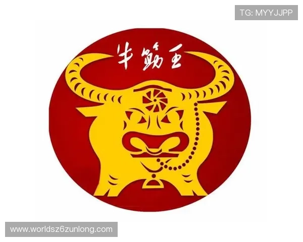 尊龙凯时中国人官网：探索尊龙凯时在中国的优惠活动与用户体验优化方案