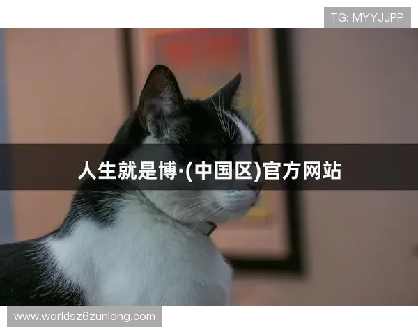 凯时尊龙人生就是博-游戏介绍最新上线的热门游戏，带来前所未有的视觉与操作体验