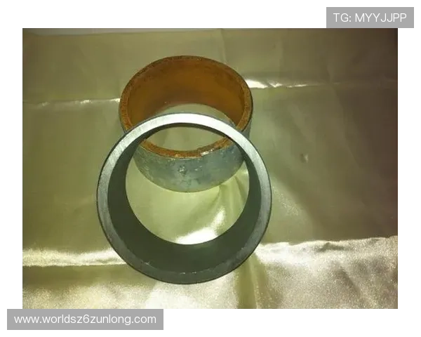 凯时首页入口登录流程详解及常见问题解决方案助您轻松进入游戏世界