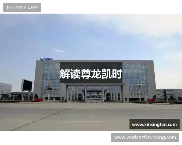 尊龙凯时人生就是搏网页版详细解析如何在平台上实现稳定盈利与安全保障