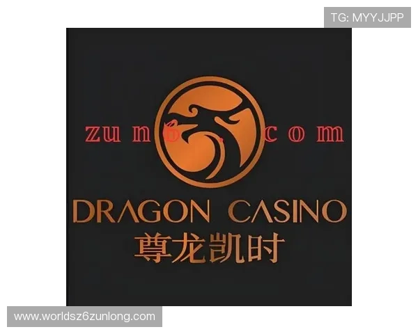 尊龙凯时官网登录确保账号安全，提供多重保障让玩家无忧畅玩